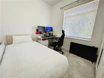 Picture 16